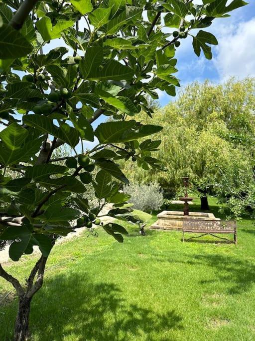 Villa Des Jacinthes Tarascon Zewnętrze zdjęcie
