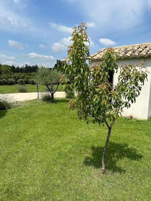 Villa Des Jacinthes Tarascon Zewnętrze zdjęcie